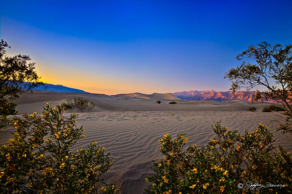 Mesquite Flats - Death Valley