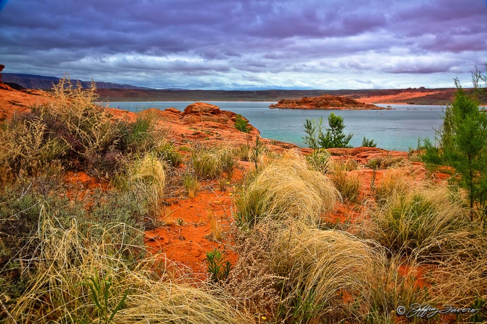 Sand Hollow Grass