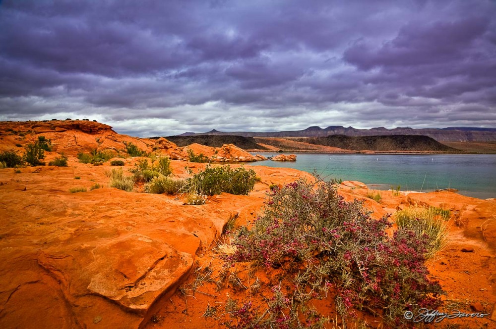 Redrock And Purple