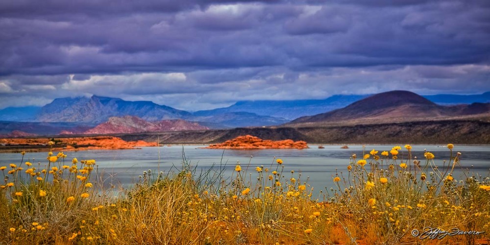 Spring Sand Hollow