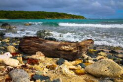 Low Tide - Vieques, PR  SVI