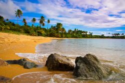 Punta Arenas (Green Beach) - Vieques, Puerto Rico  SVI