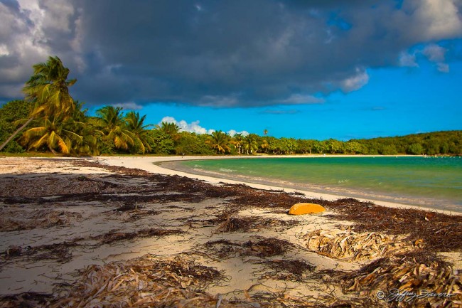 Late Afternoon - Vieques