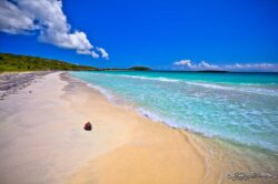 Playuela (Garcia Beach) - Vieques
