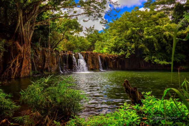 Kipu Falls - Kaua'i