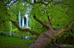 Vondelpark - Amsterdam