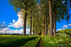 Country Road - Ghent,Belgium