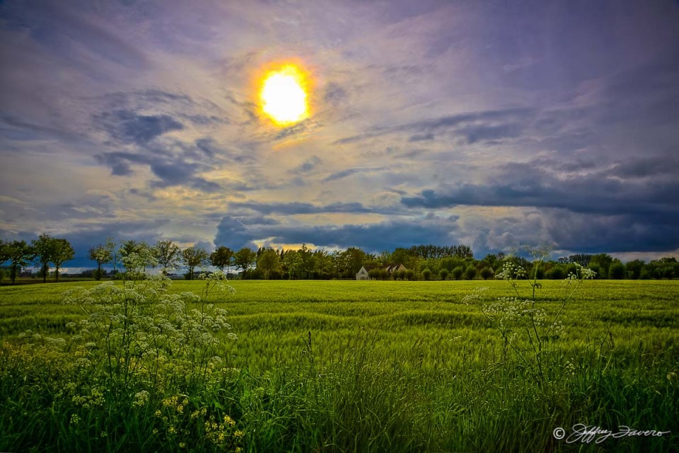 Grassy Belgian Countryside - Jeffrey Favero Fine Art Photography