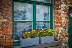 Window Box Flowers - Belgium