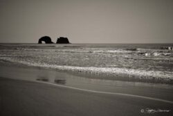 Oregon Coast Beach Reflection
