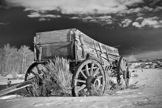 Winter Pioneer Wagon