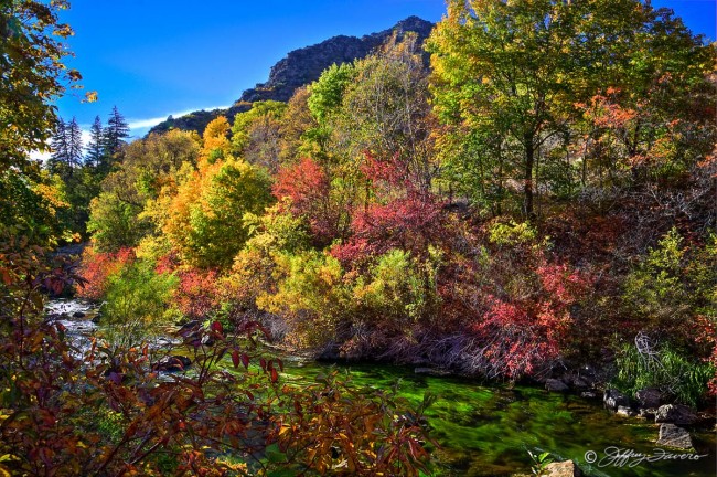 Ogden Canyon - River And Fall Colors