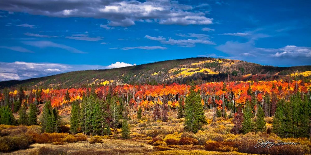 Uinta Mountain Fall Colors