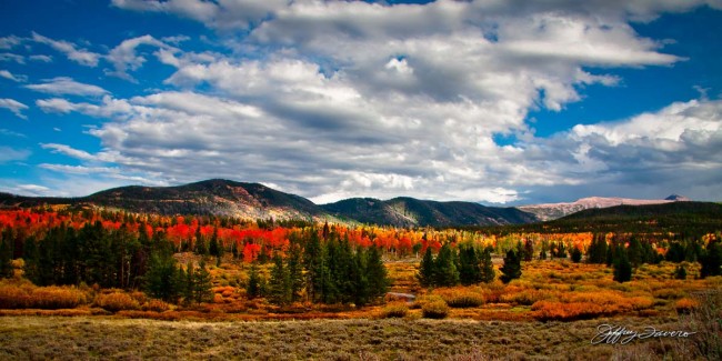 Heavenly Sky Over Fall