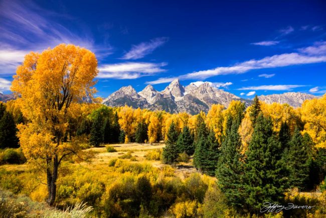 Teton Gold