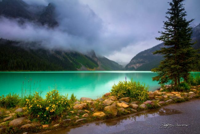 Nature's Candor - Lake Louise, Canada