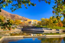 Browning Arts Center Reflection