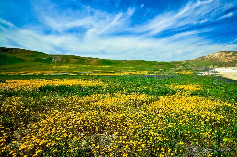 Blue, Green, Yellow