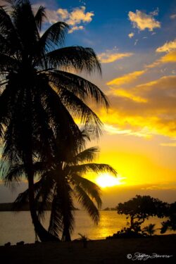 Another Day In Paradise