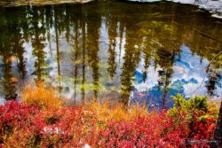 High Uinta Reflection