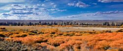 Fall Wondrous Wyoming
