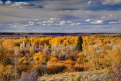 Upper Bridger Valley