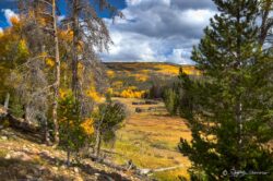 Fallen Cabins Fall Colors