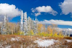 Monte Cristo Fall Snow