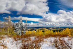 Early Snowfall Over Monte