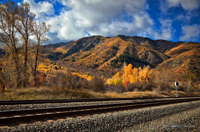 Fall Train Tracks