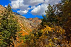 Up Ogden Canyon