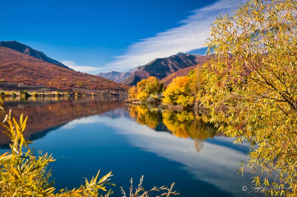 Fall Pineview Reflection