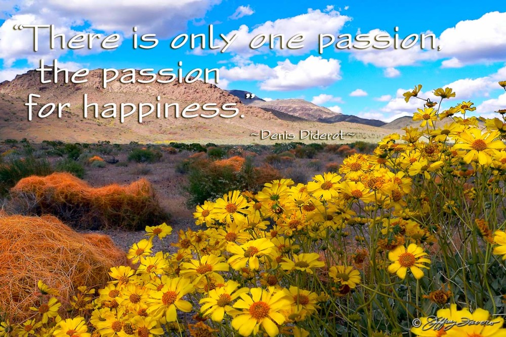 Passion For Happiness - Death Valley National Park