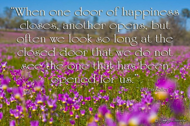 Door Of Happiness - Field Of Flowers KernCo