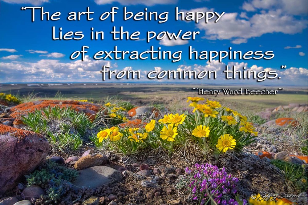 Art Of Being Happy - Bridger Valley Wyoming