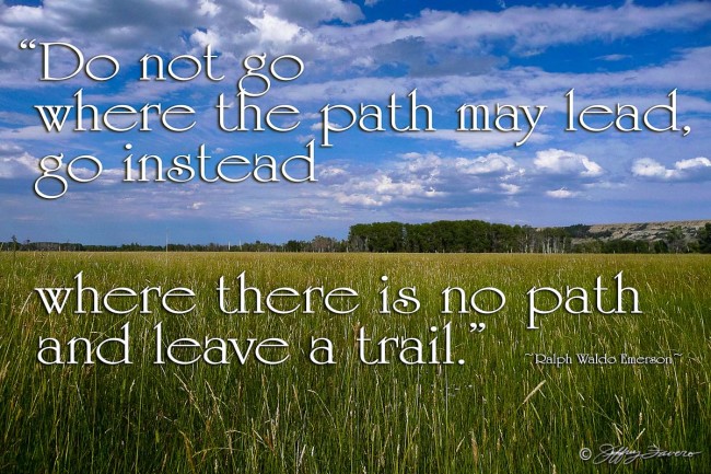 Path May Lead - Grassy Field Wyoming