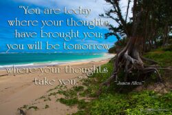 Thought Have Brought You - Oahu Hawaii