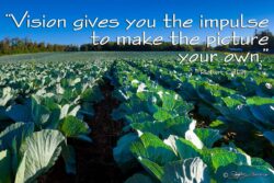 Vision - Cabbage Field, Portland, Oregon