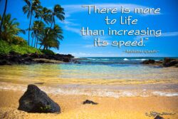 More To Life - Kukuiula, Kaua'i