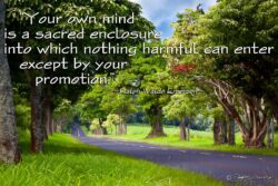 Mind Is A Sacred Enclosure - Kaua'i