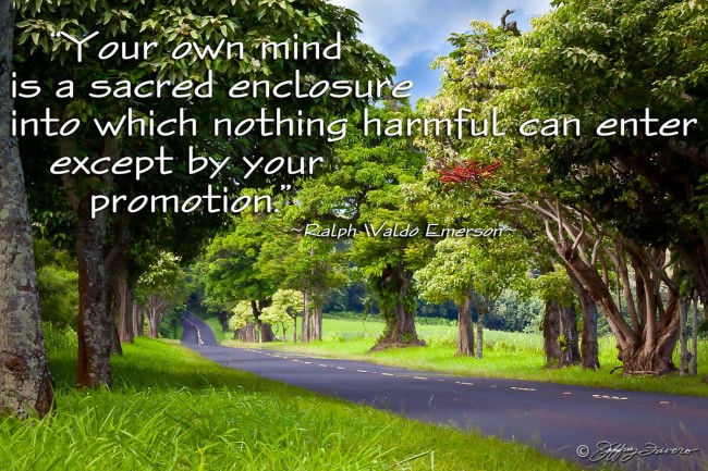 Mind Is A Sacred Enclosure - Kaua'i