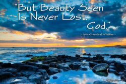 Beauty Seen - Koloa Landing, Kaua'i