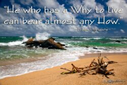 A Why To Live - Kaua'i