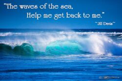 Back to Me - Onda Andante