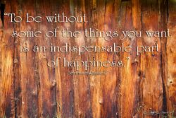 Indispensable Happiness - Old Barn Wood