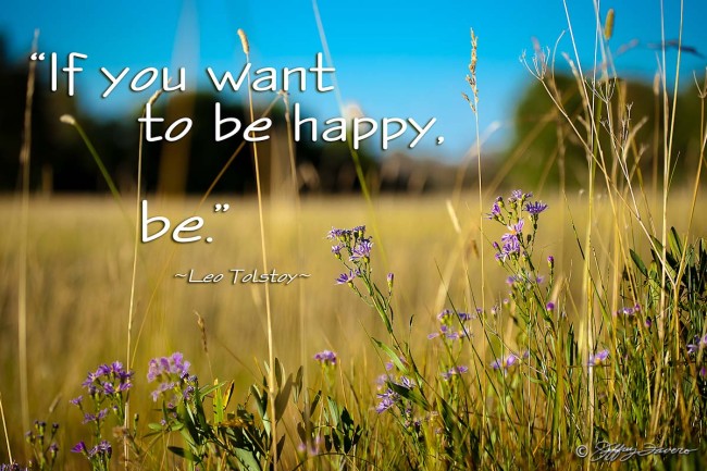 Be Happy - Tall Wheatgrass