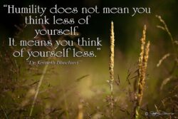 Humility - Wheatgrass Bokeh