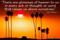 Glimpses Of Heaven - Sunset And Palm Trees