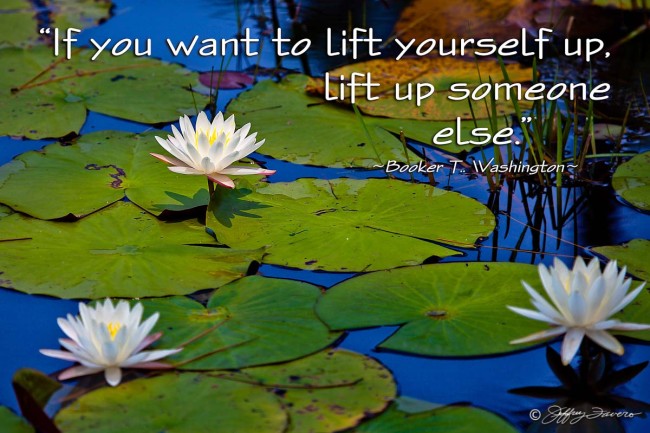 Lift Up Someone - Lily Pad Blossoms