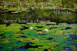 One Person In The World - Lily Pad Blossom